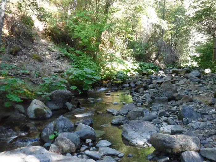Cal-ida — Fiddle Creek