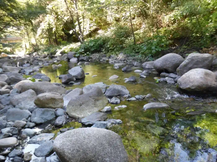 Cal-ida — Fiddle Creek