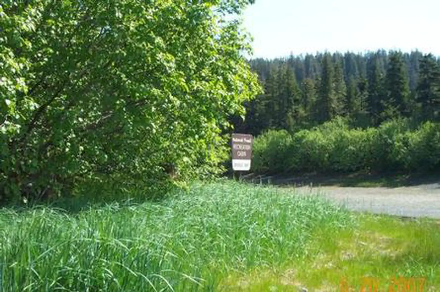 Double Bay Cabin — DOUBLE BAY CABIN444