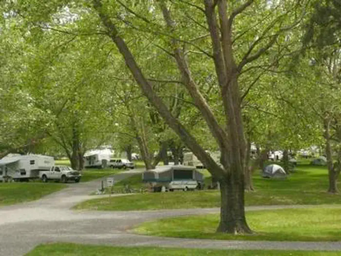 Fishhook Park — FISHHOOK PARK