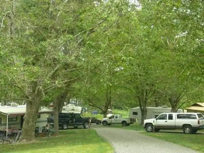 Fishhook Park — FISHHOOK PARK