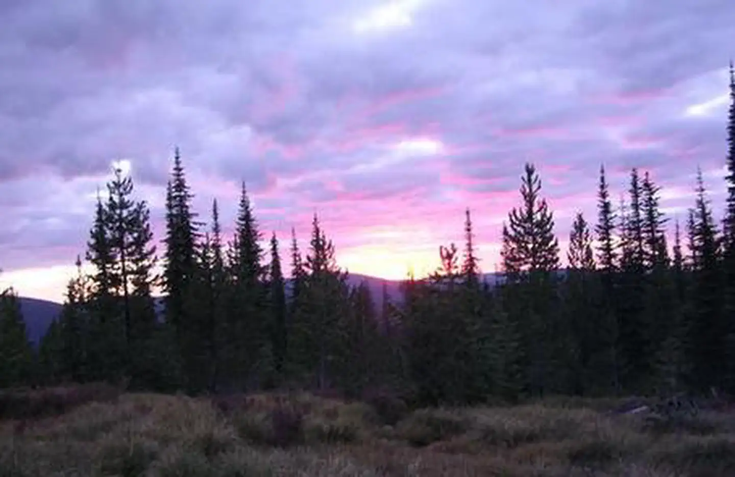 Liz Creek Cabin — LIZ BUTTE CABIN