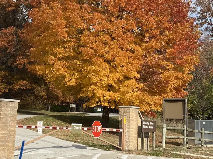 Cherry Glen Campground — Cherry Glen Picnic Area