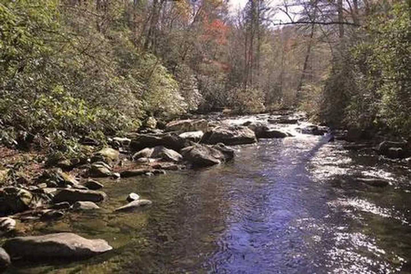 Rattler Ford Campground — RATTLER FORD GROUP CAMPGROUND
