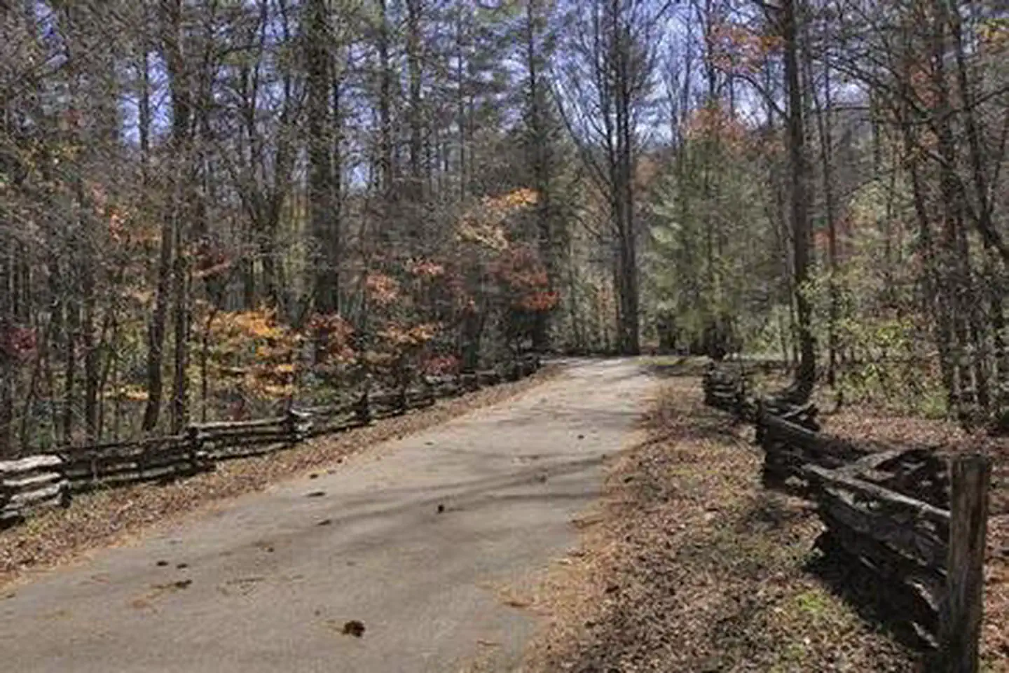 Rattler Ford Campground — RATTLER FORD GROUP CAMPGROUND