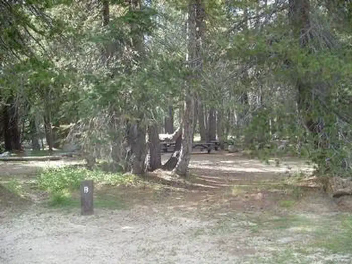 Lake Alpine Campground — LAKE ALPINE - LODGEPOLE GROUP