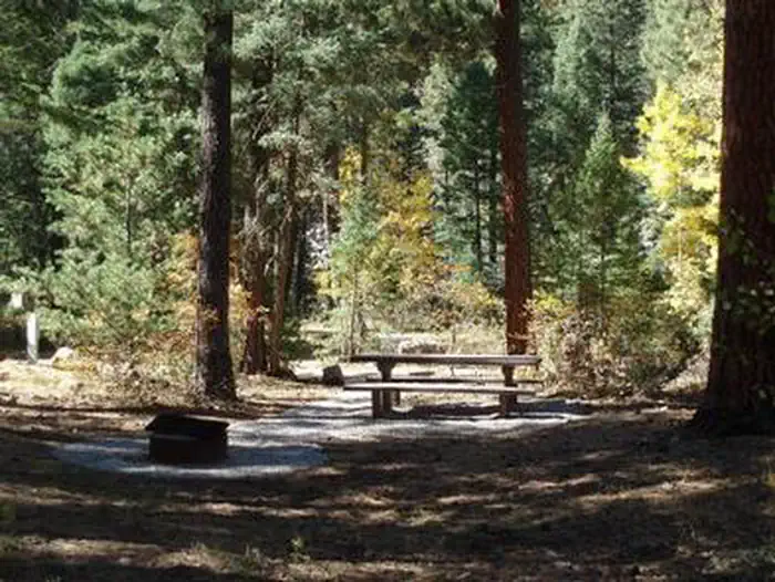 Vallecito Campground — VALLECITO CAMPGROUND