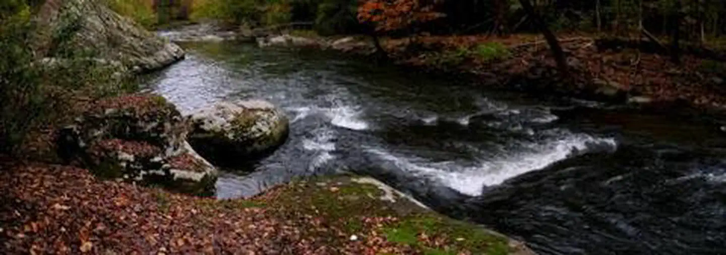 Flatwoods Group Picnic Area — FLATWOODS GROUP PICNIC AREA