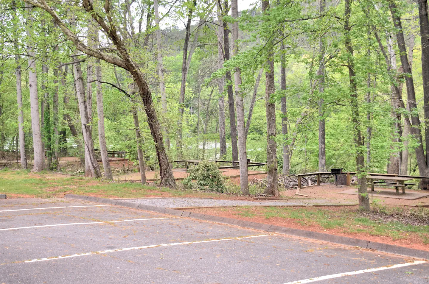 Riverside Park Day Use Area (Ga) — Riverside Day Use Picnic Area