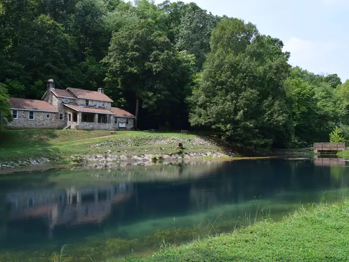 Markham Springs — MARKHAM SPRINGS