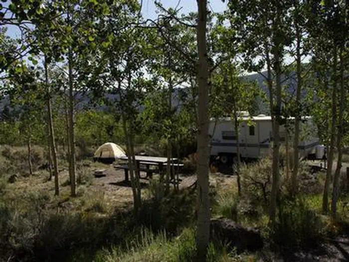 Bowery Creek — Forested campsite with a tent, picnic table, and RV