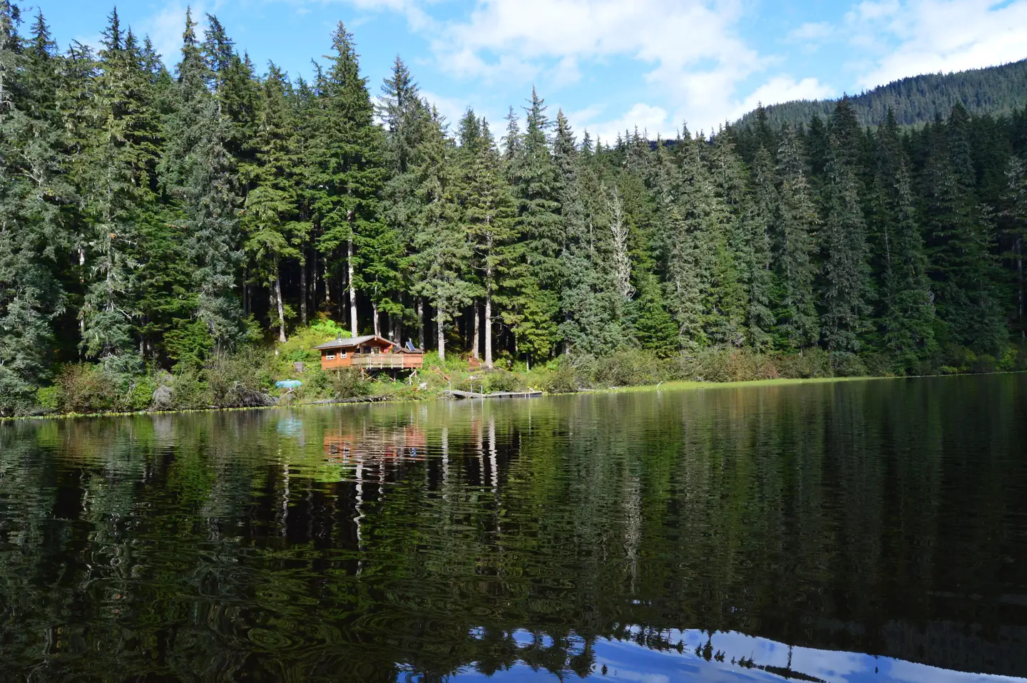 Windfall Lake Cabin β View from the lake