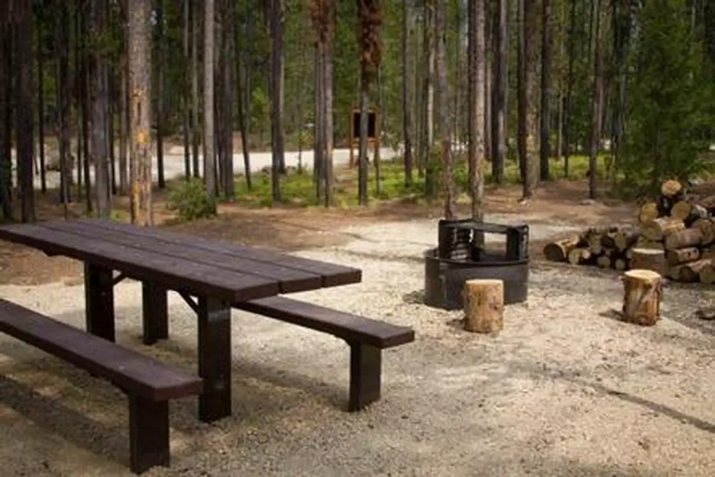 Boundary Creek Campground — BOUNDARY CREEK CAMPGROUND