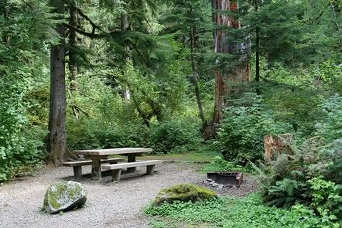 Bedal Campground — Bedal Campground