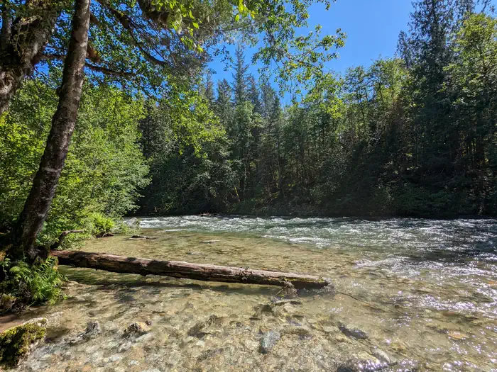 Bedal Campground — Bedal