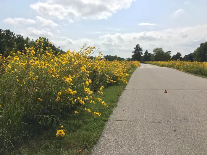 Prairie Flower Recreation Area — PRAIRIE FLOWER RECREATION AREA 3