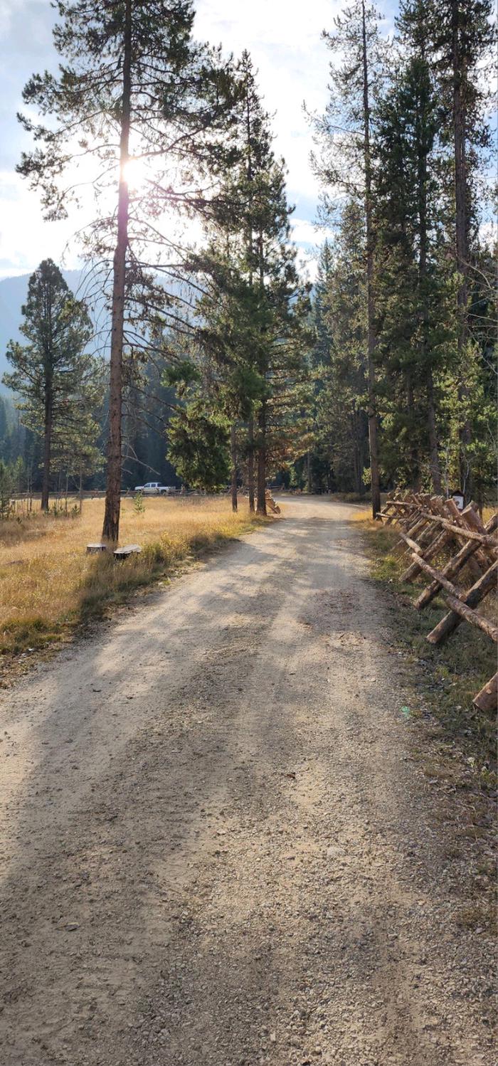Fales Flat Campground — Road into the Fales Flat Group Site