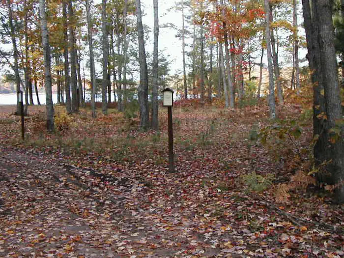 Lyman Lake Dispersed Campsites — Lyman Lake Campsite