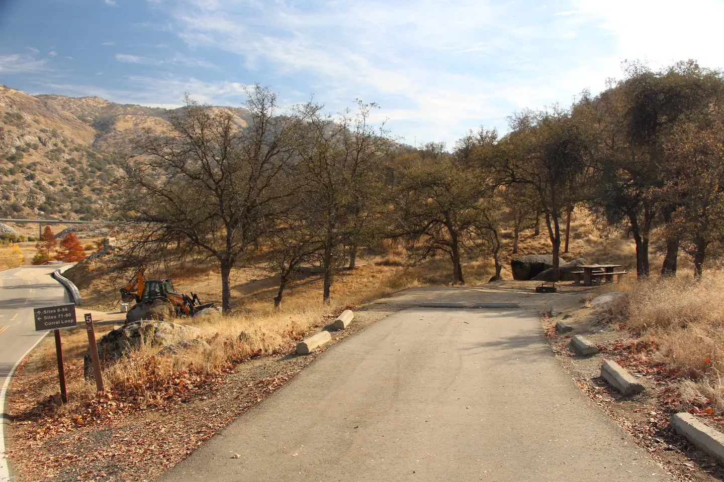 Horse Creek — Campsite #5