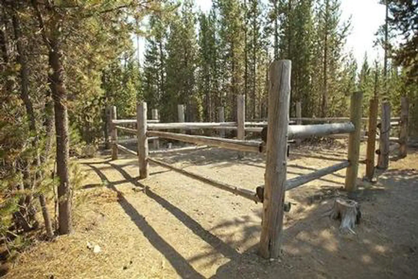 Cultus Corral Horse Camp — CULTUS CORRAL HORSE CAMP