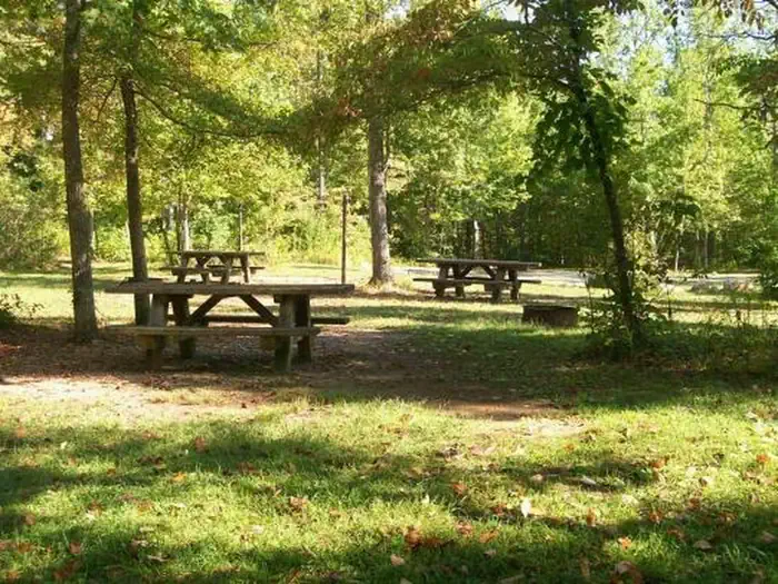 Chilhowee — Middle Field Camping Area