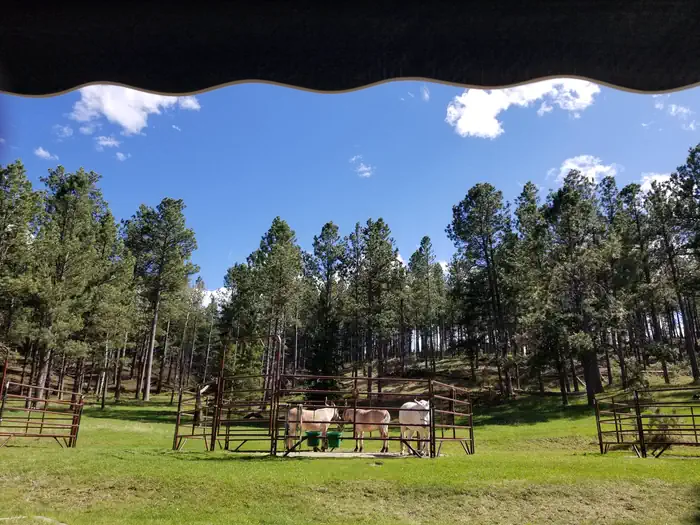 Iron Creek Horse Camp — View of corral with horses