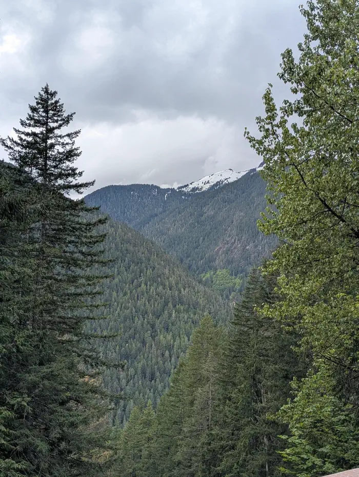 Mineral Park Campground — VIEW FROM MINERAL PARK