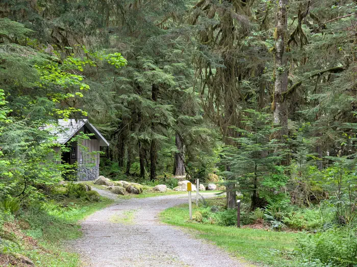 Mineral Park Campground — Mineral Park Campground area