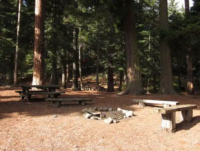 Clear Lake North Campground — CLEAR LAKE GROUP SITE
