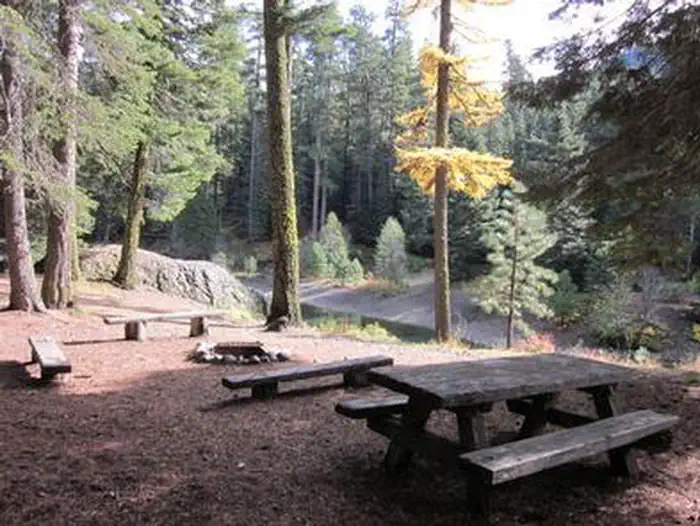 Clear Lake North Campground — Picnic tables with forested backdrop.