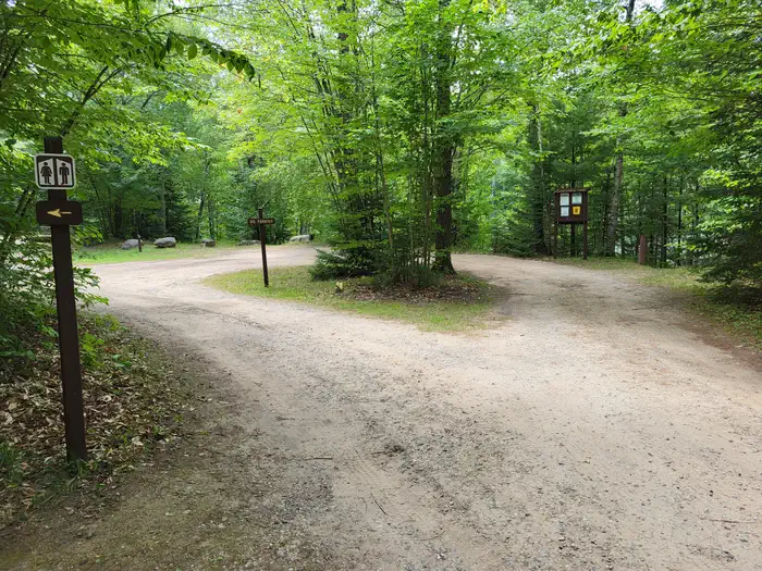 Council Lake Campground — Council Lake Campsite