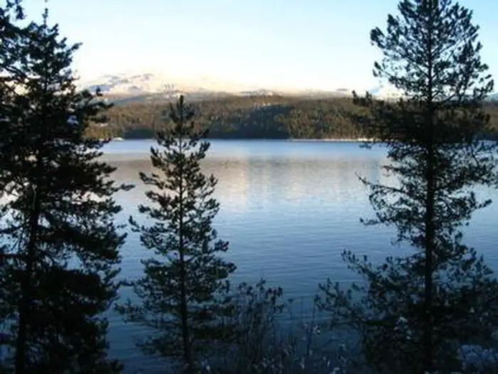 Bartoo Island Boat-in Campground — BARTOO ISLAND GROUP SITE