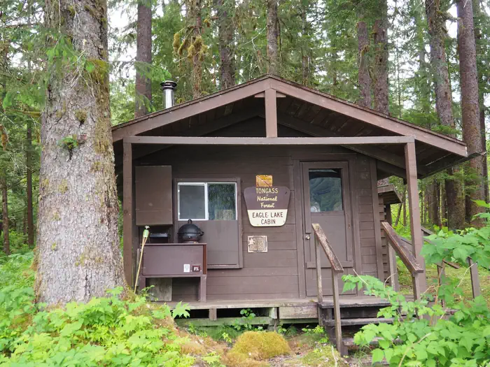 Eagle Lake Cabin — Eagle Lake Cabin brown cabin with tree next to it and behind it