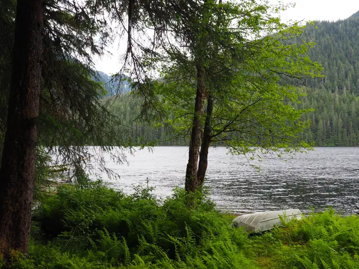 Eagle Lake Cabin — Lake shore with small boat and green trees