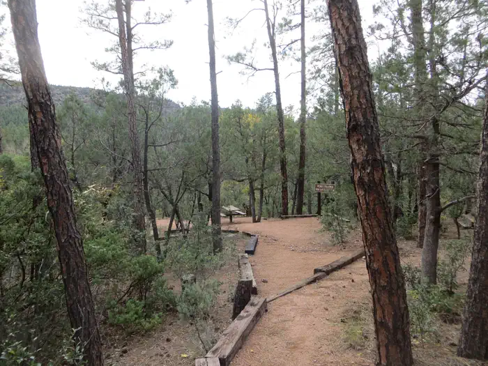 Christopher Creek — Christopher Creek Campground picnic area