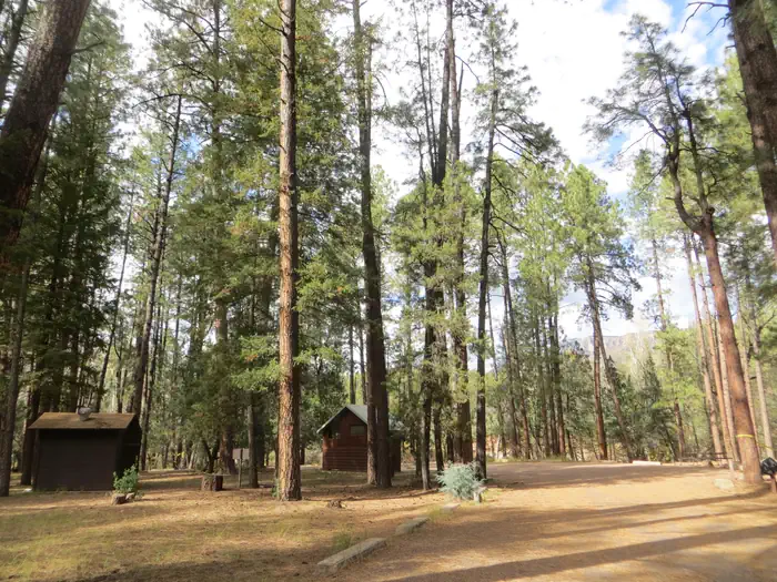 Christopher Creek — Christopher Creek Campground views of tall pines and restroom building.