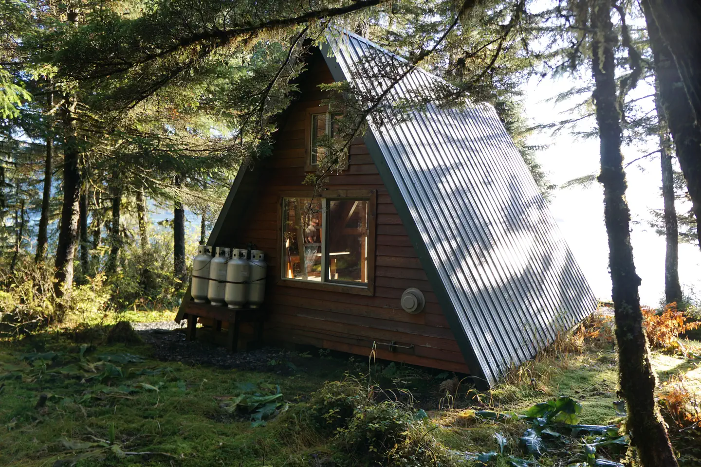 Pigot Bay Cabin β Pigot Bay Cabin Rear