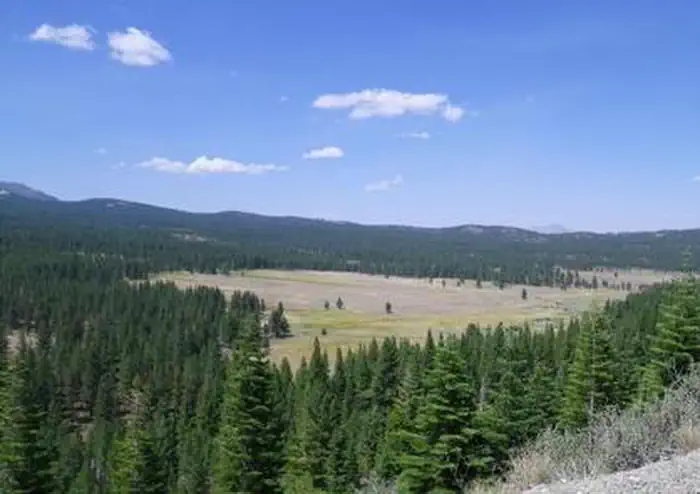 Lookout Campground