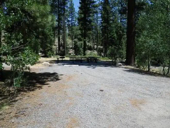 Lookout Campground — Lookout Campground