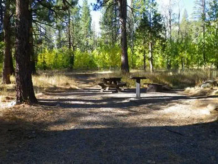 Lookout Campground — Lookout Campground