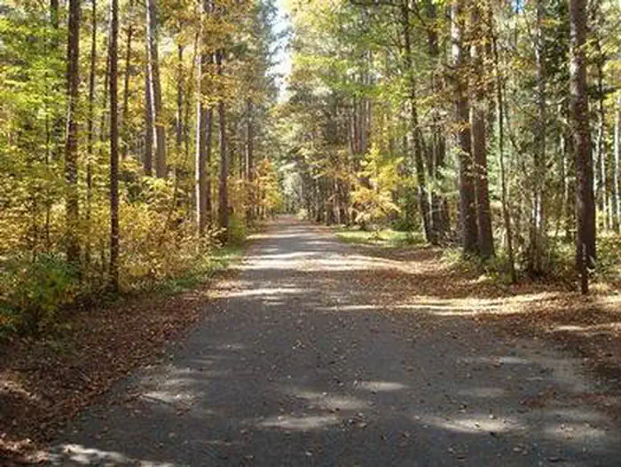 Norway Beach - Cass Lake Walk-In Campground Loop
