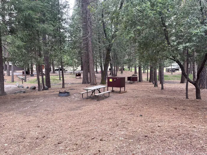 Wawona Campground — Campsite in C-Loop
