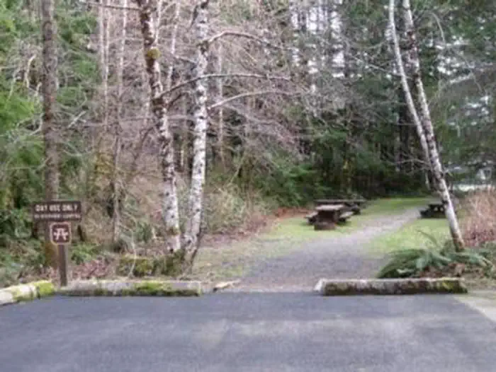 Coho Campground — COHO CAMPGROUND