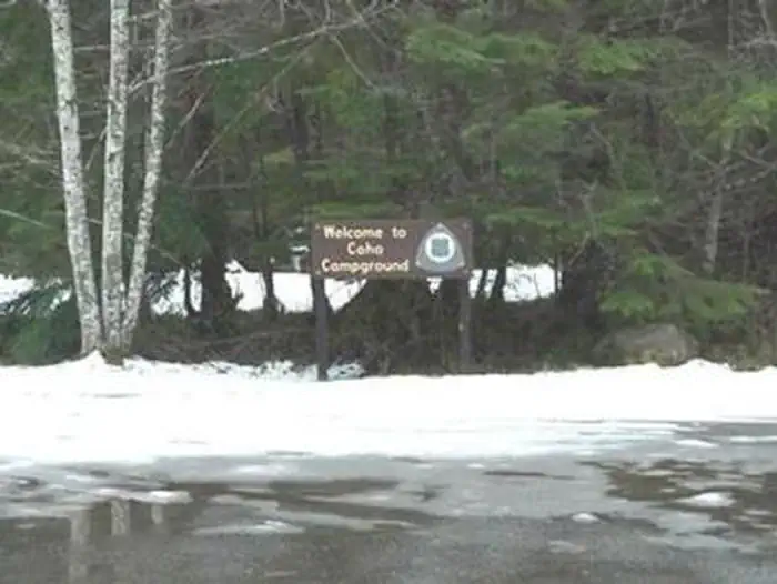 Coho Campground — COHO CAMPGROUND