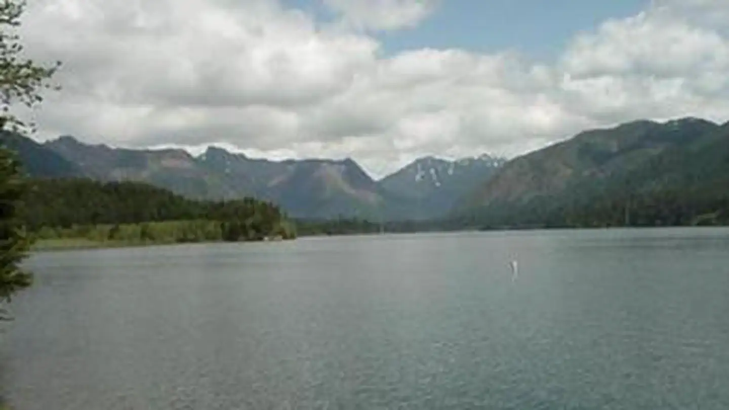 Coho Campground