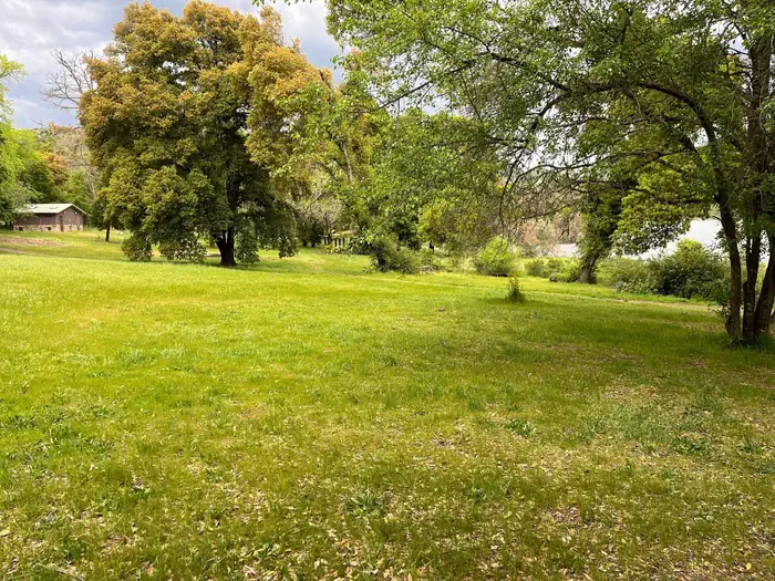 Pomo Day Use Area — Pomo A Day-Use Area grass picnic area