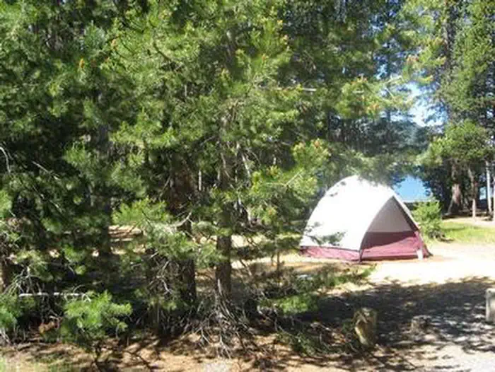 Cinder Hill Campground — Cinder Hill Campground