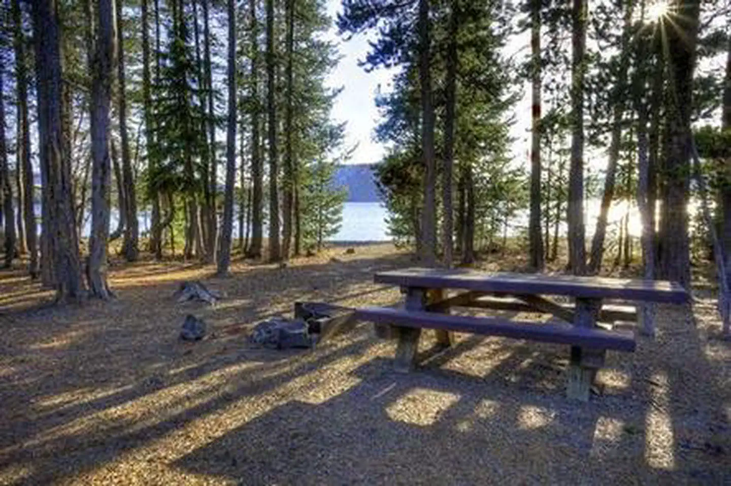 Cinder Hill Campground — Cinder Hill Campground