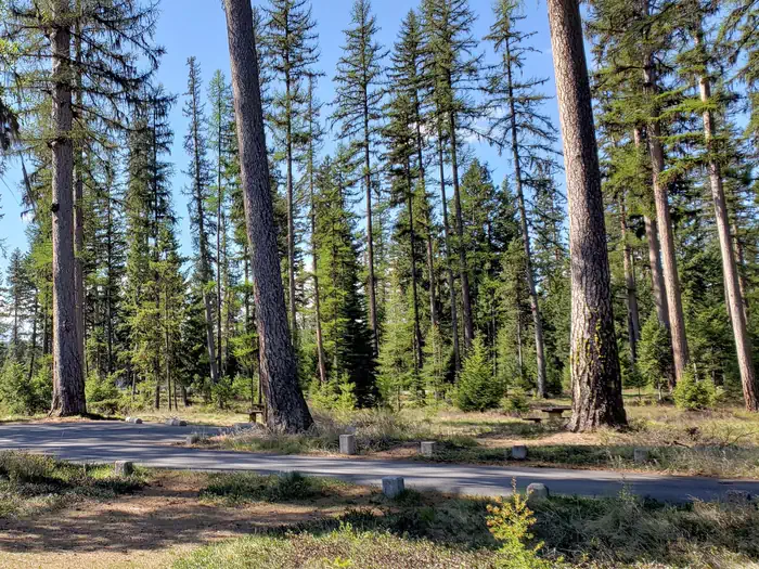 Seeley Lake Campground — Spend time in an old-growth Western larch forest at Seeley Lake Campground.