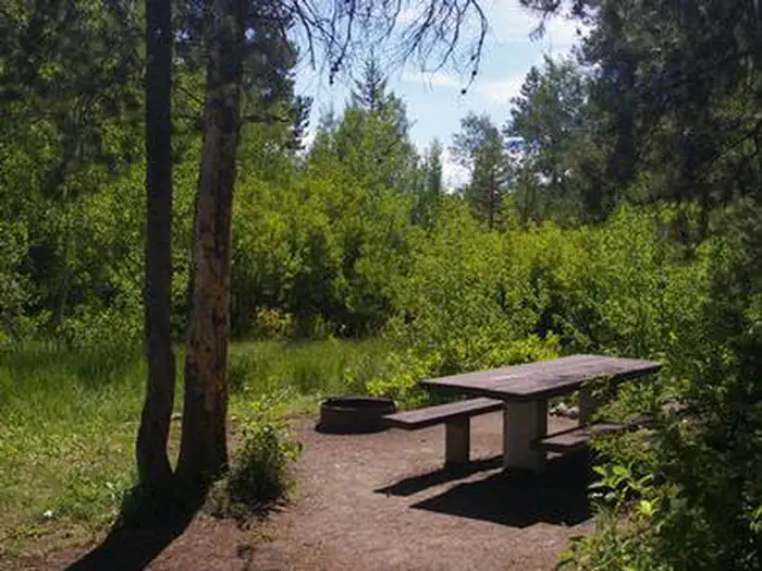 Easley Campground — EASLEY CAMPGROUND